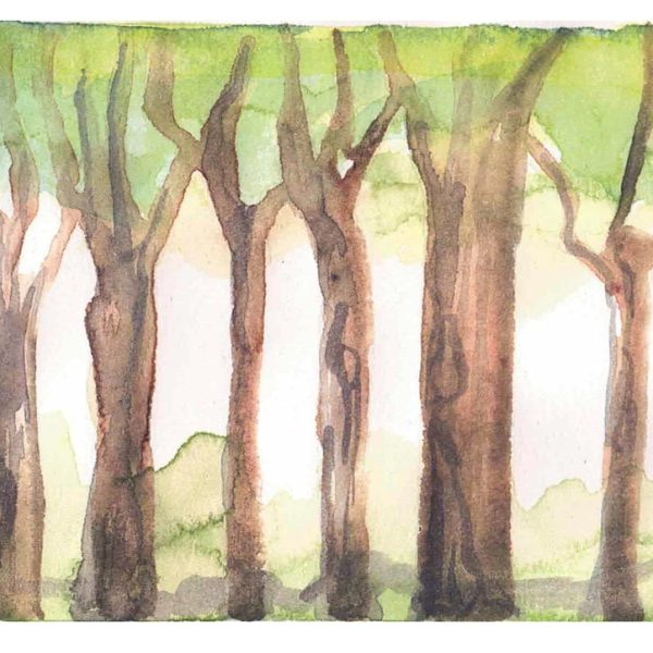 foret1