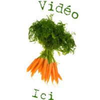 icone-video-MC